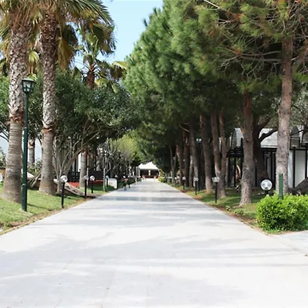 Asa Club Holiday Resort
